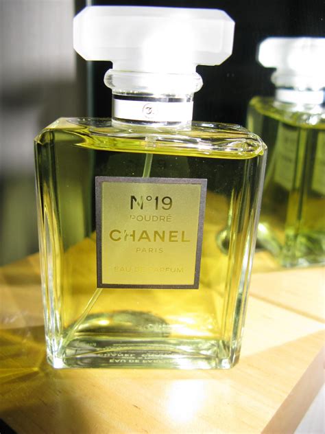 chanel 19 poudree|chanel 19 fragrantica.